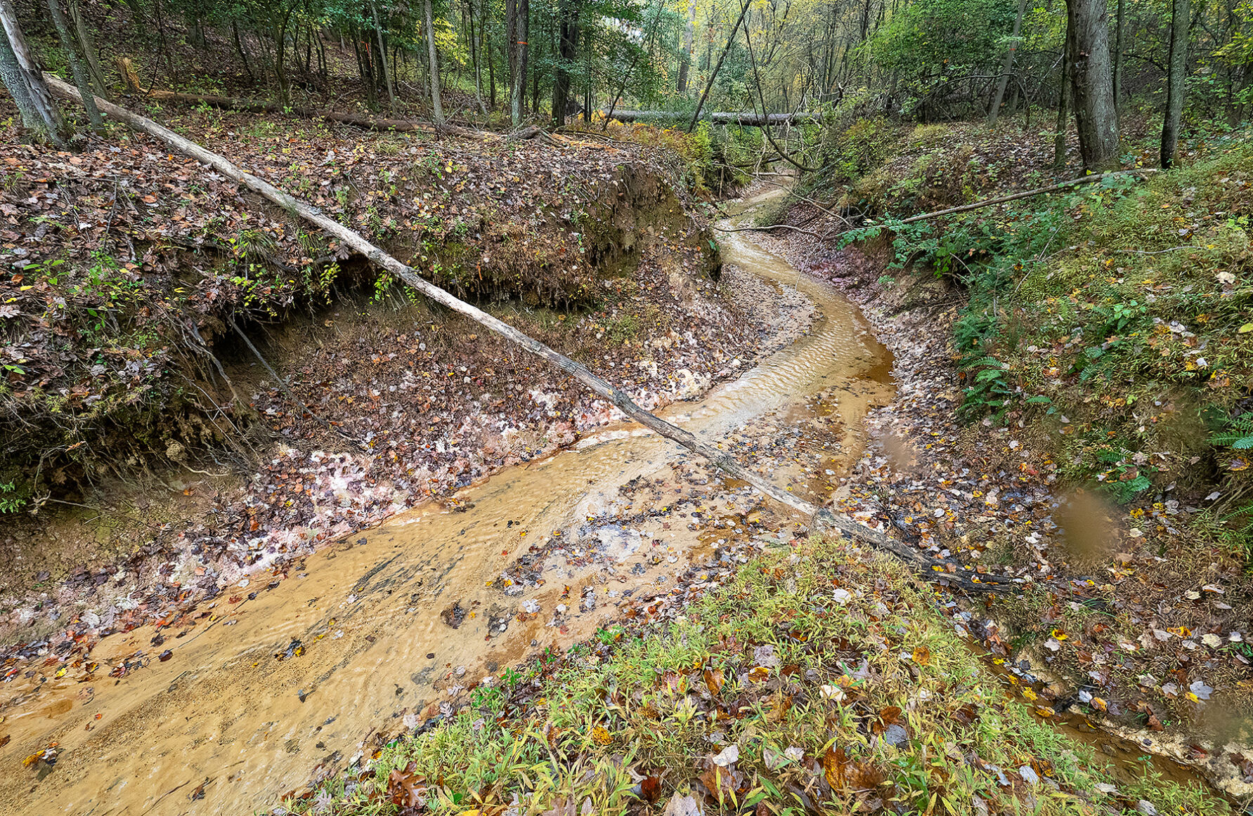 Erosion along Jabez Branch, MD
